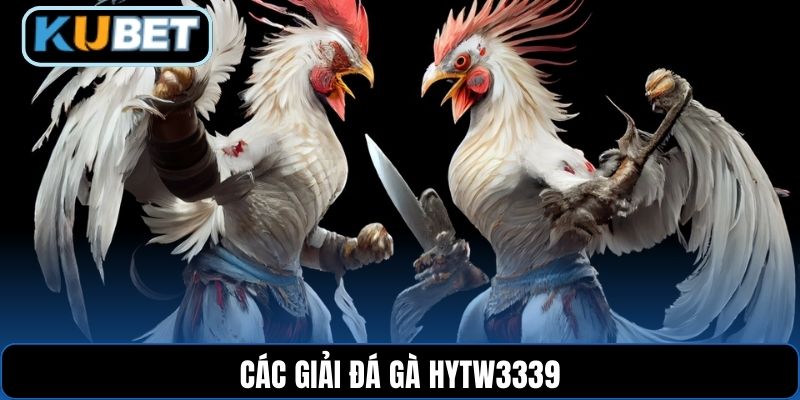 Các giải đá gà HYTW3339