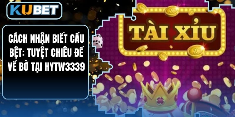 Cách Nhận Biết Cầu Bệt: Tuyệt Chiêu Để Về Bờ Tại HYTW3339